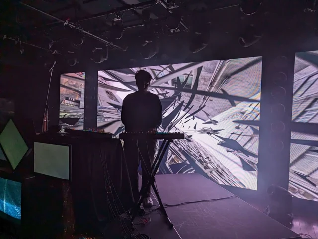 Electronic musician performing in silhouette in front of abstract projections.